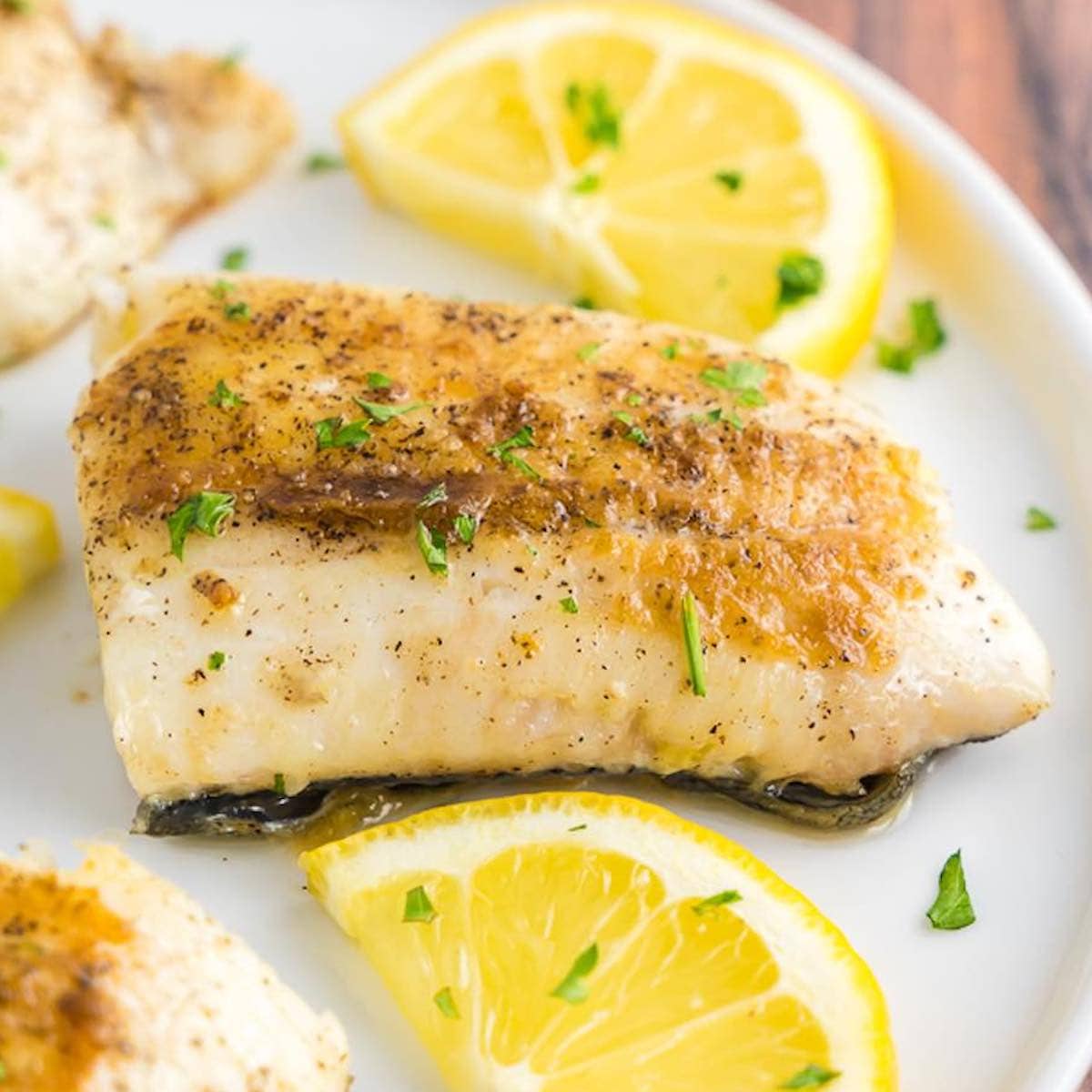 Grilled Haddock