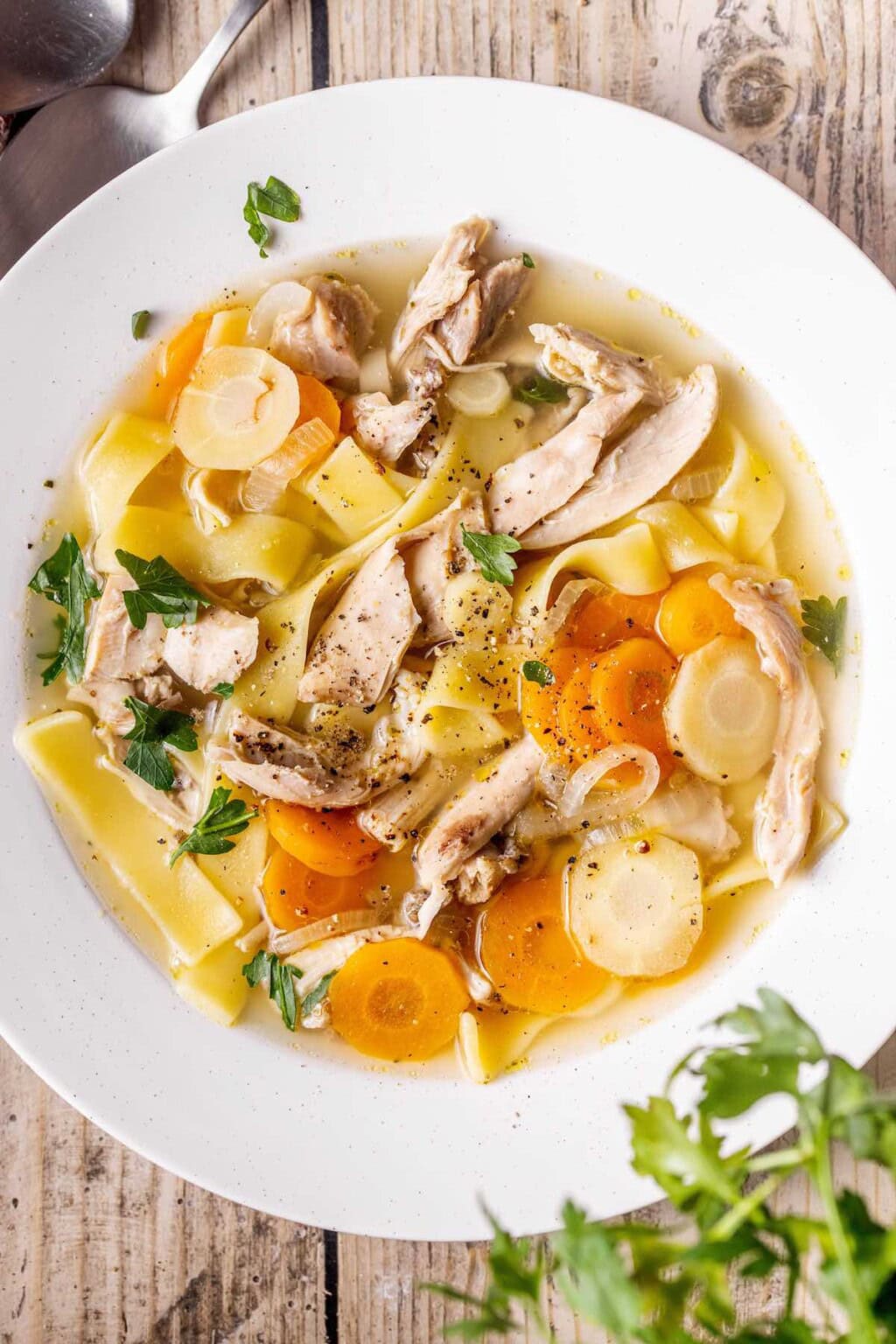 Turkey Noodle Soup