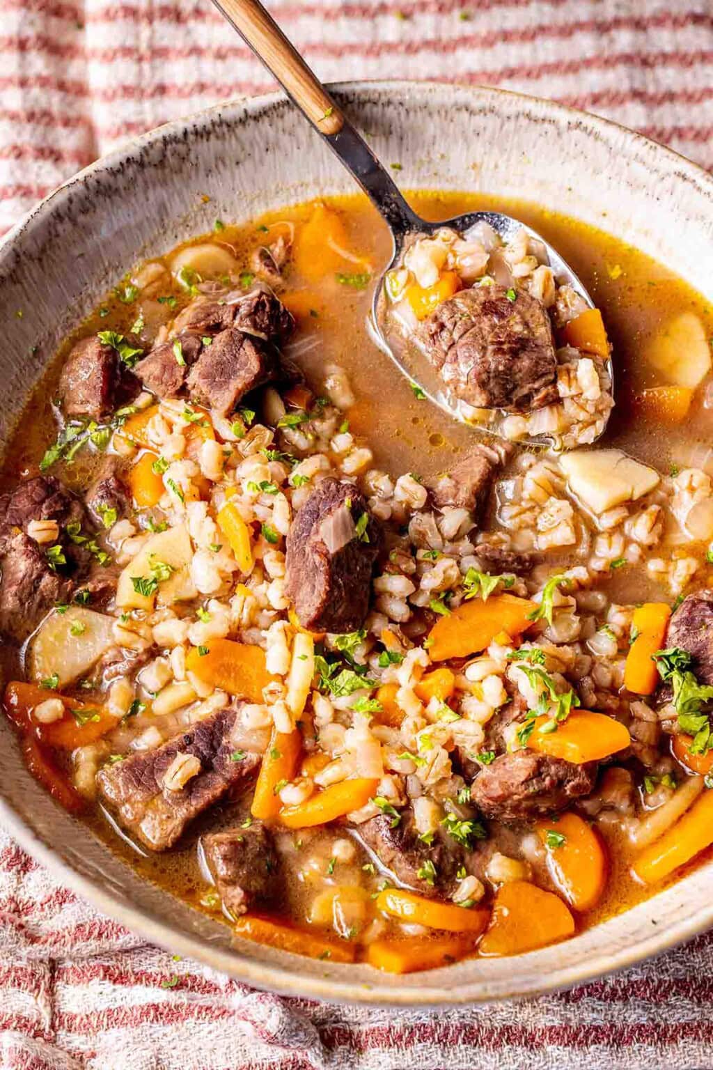 Vegetable Beef Barley Soup